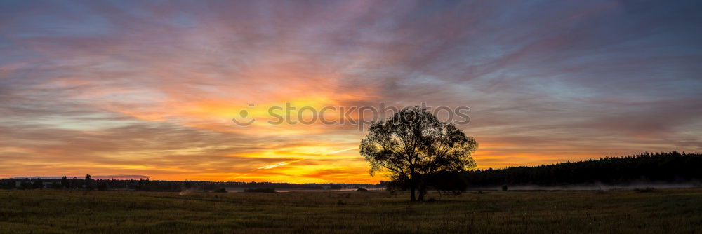 Similar – Image, Stock Photo Sunset by Snow Sky Clouds