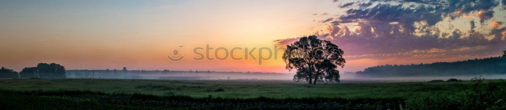 Similar – Foto Bild Brennender Himmel Natur