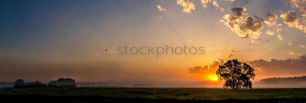 Similar – early morning | frühaufsteher