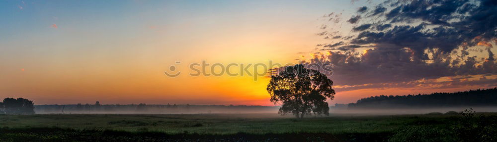 Image, Stock Photo Sunset by Snow Sky Clouds