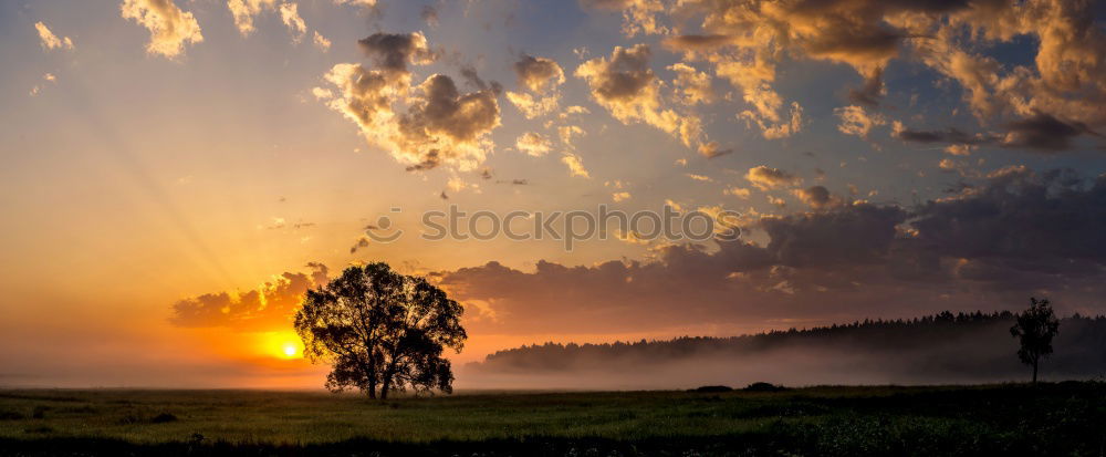 Similar – Image, Stock Photo Sunset in Heeg #2 Clouds