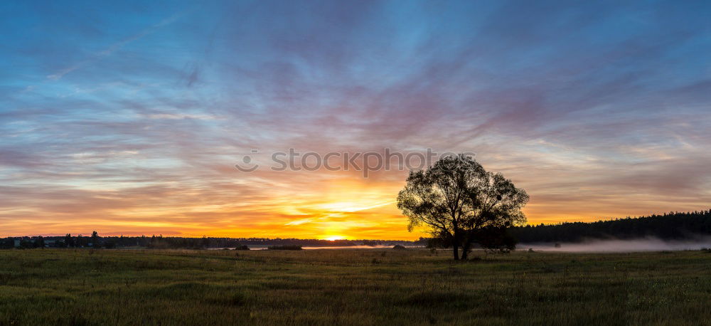 Similar – Image, Stock Photo sunrise Sunrise Fog Meadow