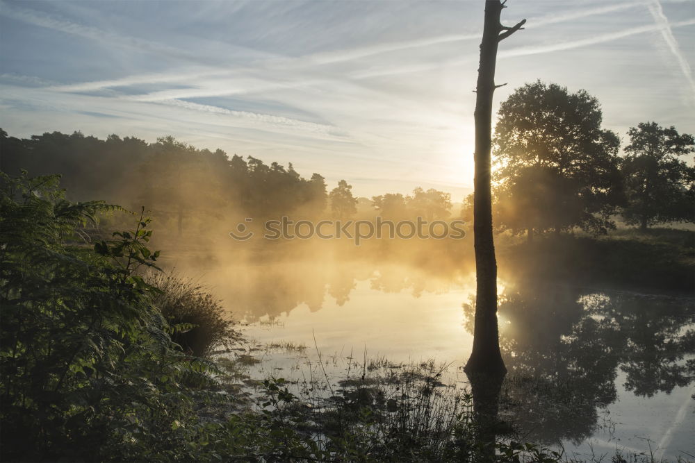 Similar – morning mood Lake Morning