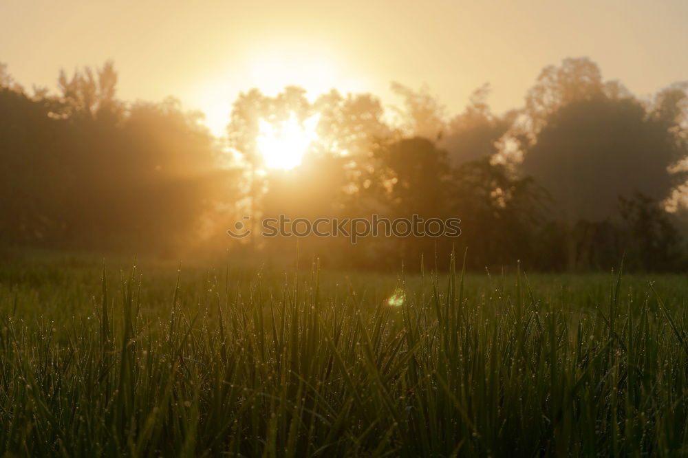 Similar – Image, Stock Photo Sunset in Heeg #3 Clouds