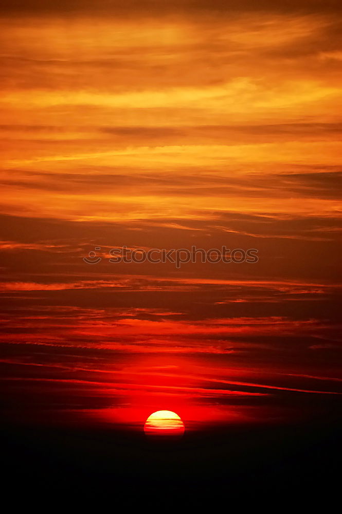 Similar – Image, Stock Photo sundown Sunset Forest Sky