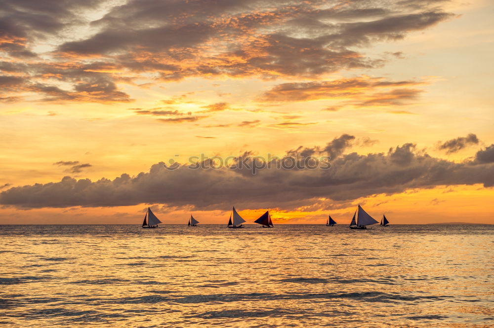 Sailing ships on the Hanse Sail in Rostock