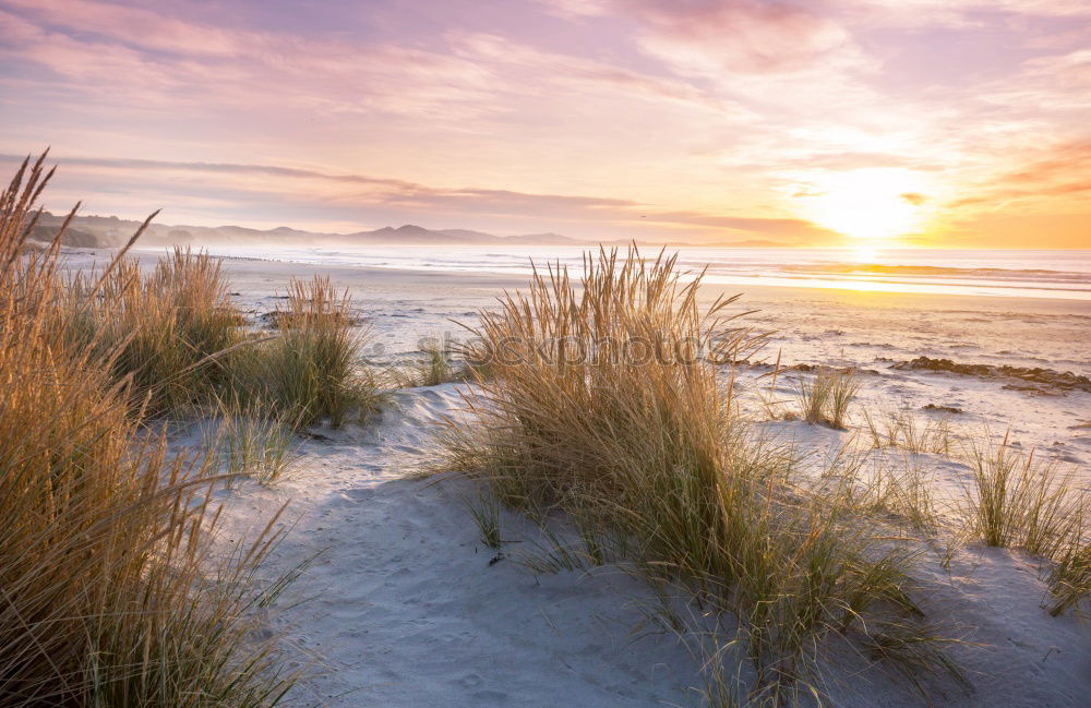 Similar – Landscape with dunes on the island of Amrum