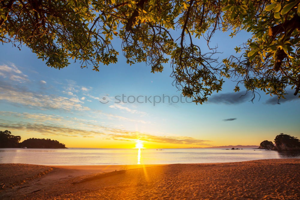 Similar – Olive trees, sea and sunset.