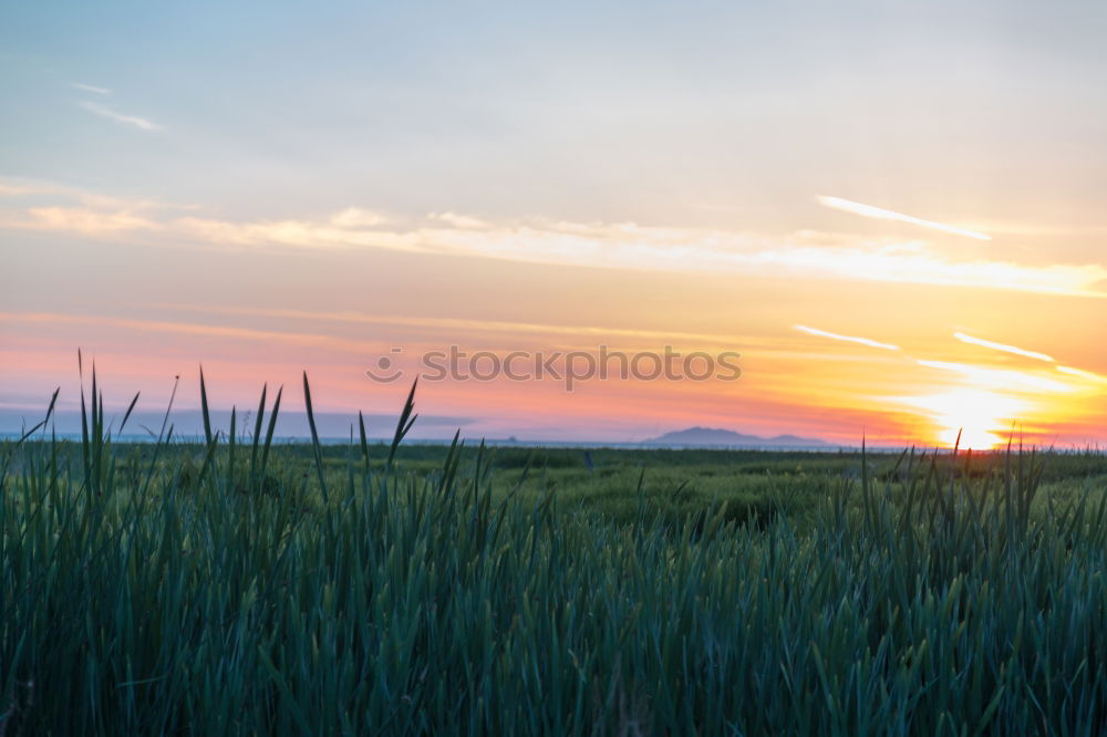 Similar – Image, Stock Photo Car on seashore during sunset