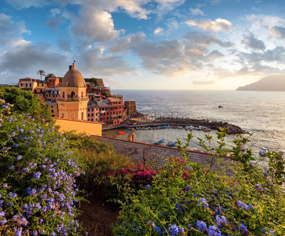 Similar – Image, Stock Photo Beautiful view from hills on the coast town of