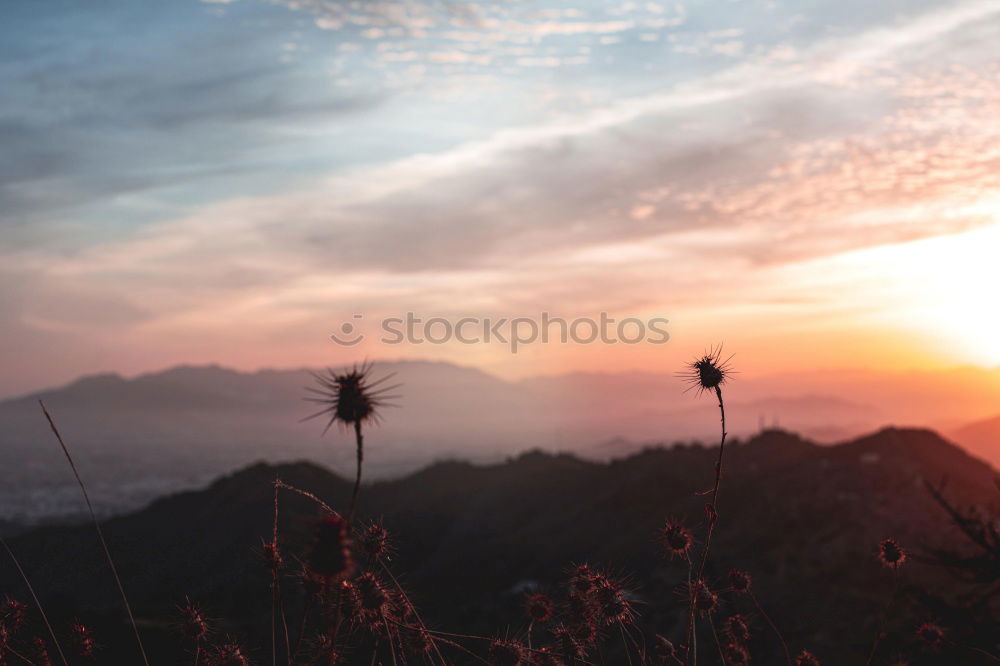 Similar – Early enjoyment of light in the mountains