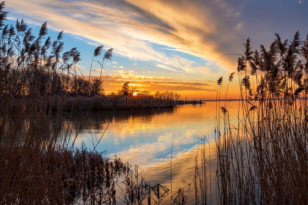 Similar – Image, Stock Photo city lake