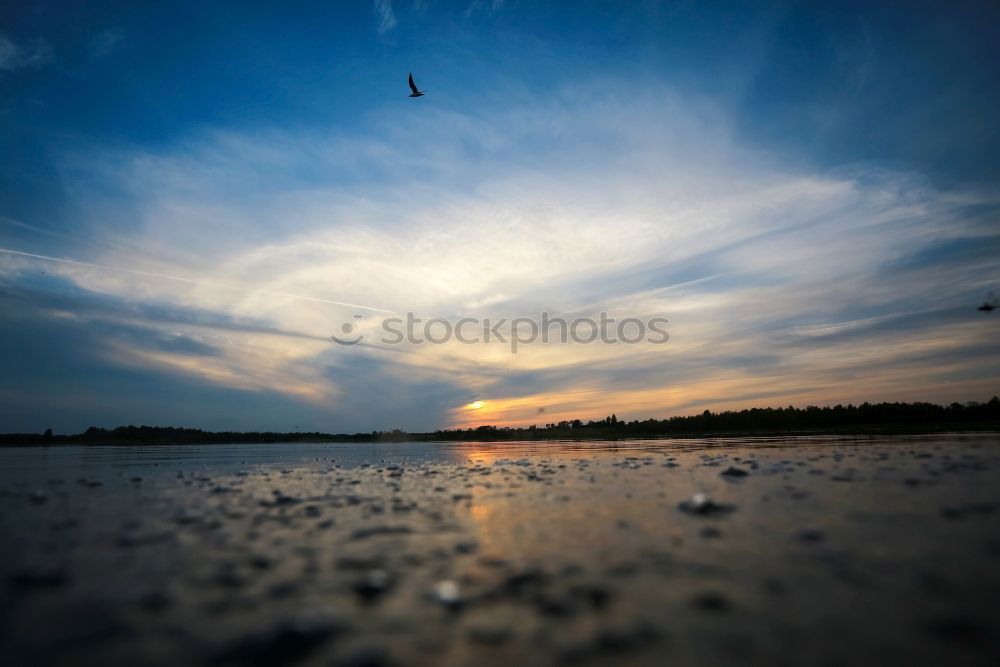 Image, Stock Photo sunrise Wind energy plant