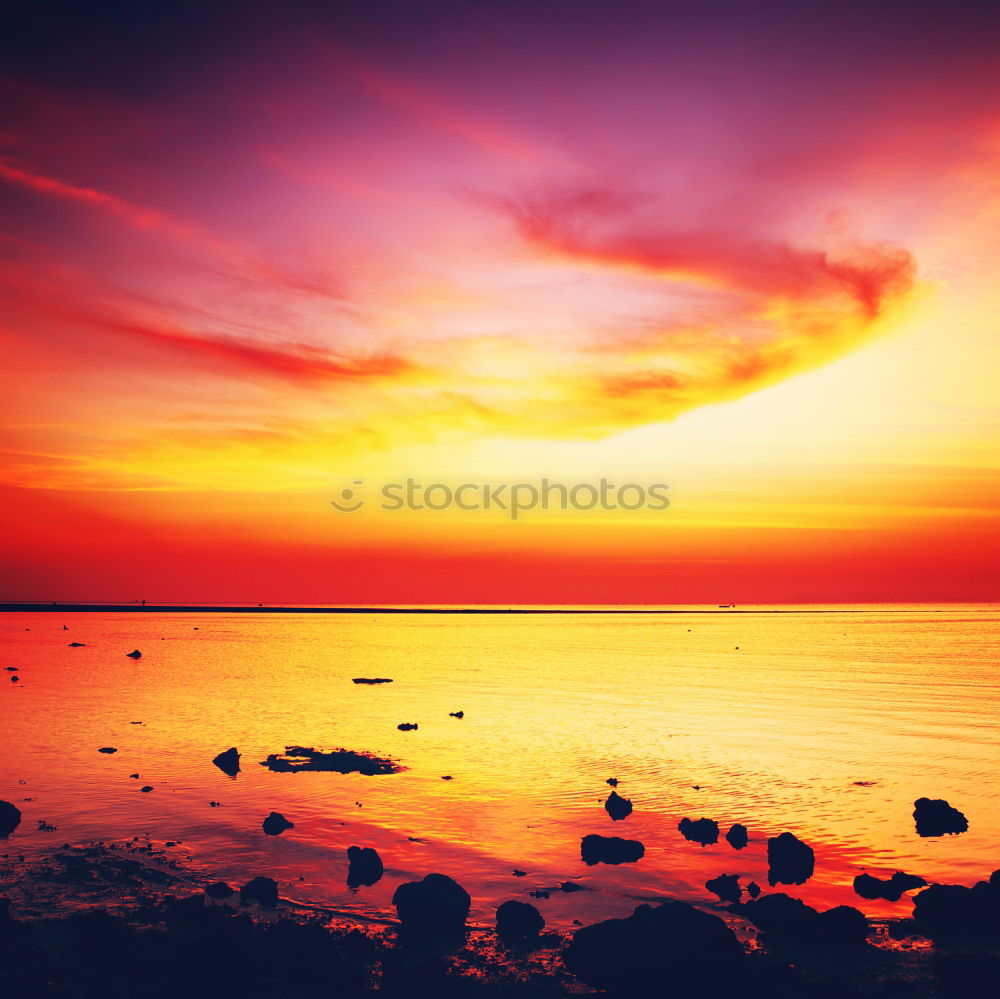 Similar – Image, Stock Photo Hazy Sunrise Lifestyle