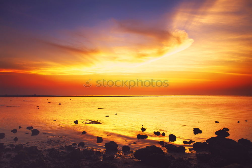 Similar – Image, Stock Photo Hazy Sunrise Lifestyle