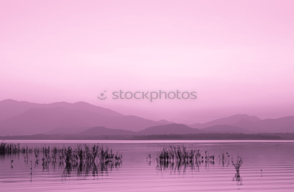 Similar – Song Kul lake with horses in sunrise