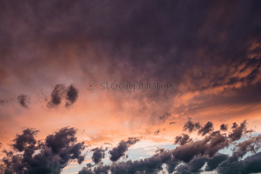 Similar – purple sky Violet Pink