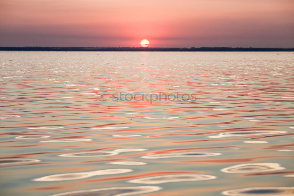 Similar – Image, Stock Photo golden idyll Relaxation