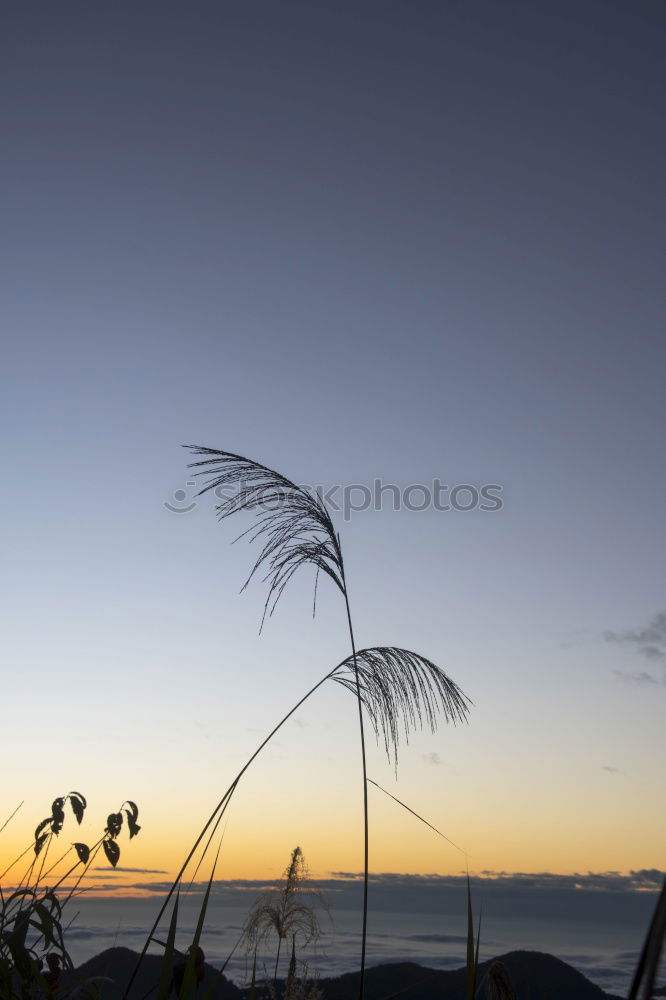 Similar – Image, Stock Photo Bay in with evening mood