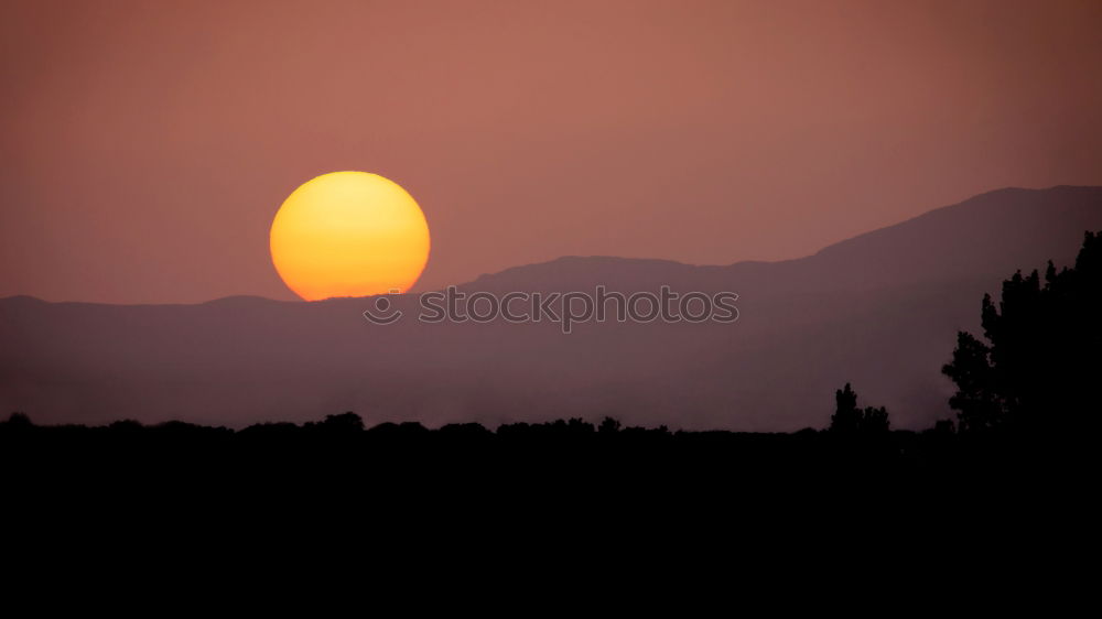 Image, Stock Photo Photographing photographers while photographing