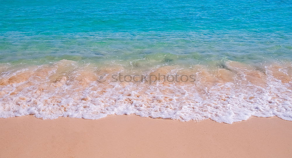 Similar – Image, Stock Photo Waves and turquoise sea at the sand beach from above