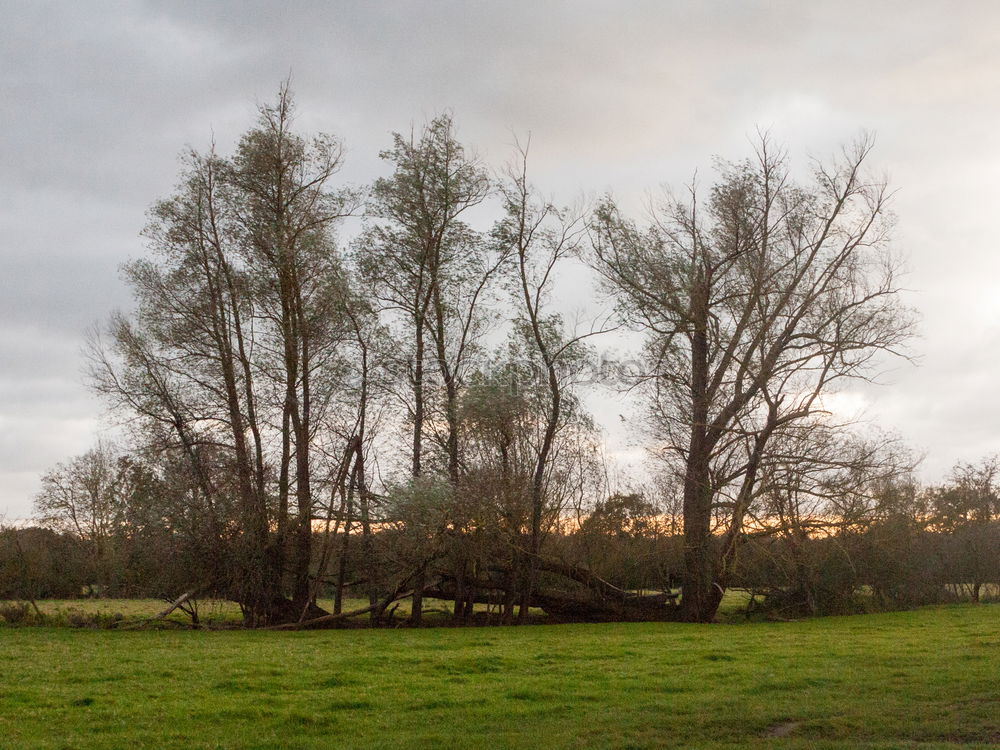 Similar – Green field in countryside