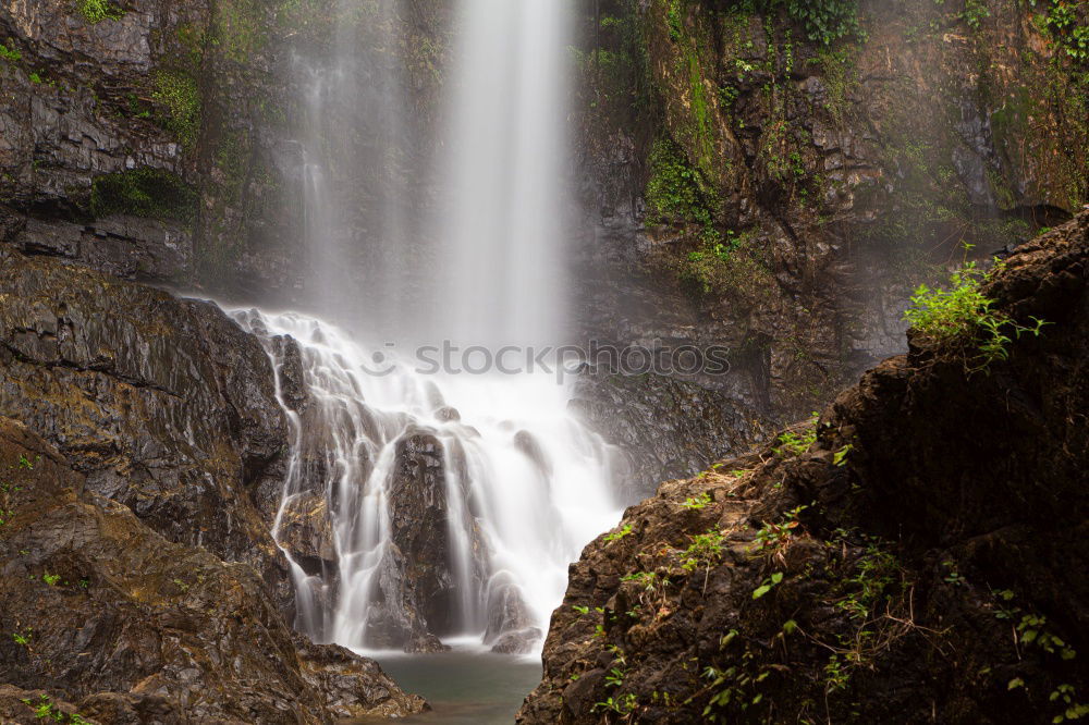 Similar – milford sound Environment