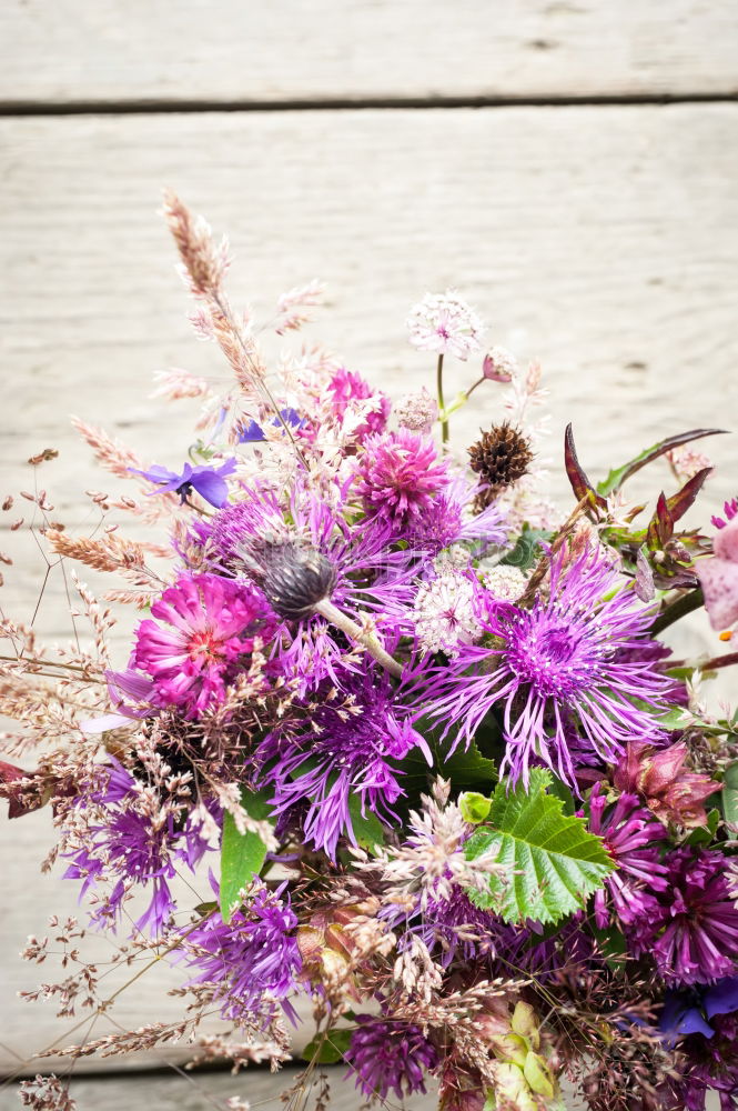 Similar – Image, Stock Photo Autumn coloured leaves and Erica on wood background