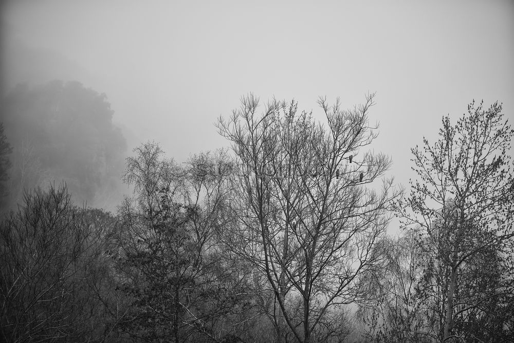 Similar – Foto Bild Vorsicht! Kurve! Baum