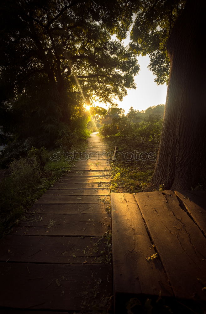 Similar – Image, Stock Photo Stairway to heaven