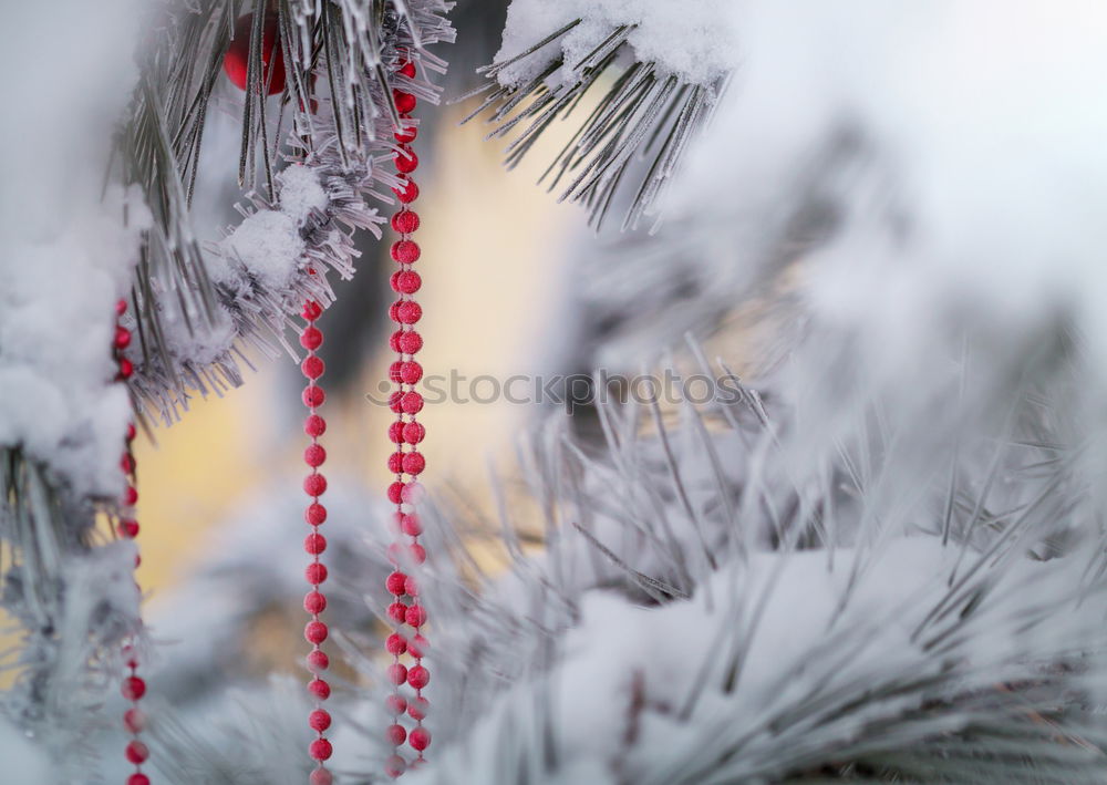 Kitschy, bizarre, decorated Christmas tree stands between wires, church, lamp and lantern in the city and lights up. Funny, abstract, bright, funny, urban Christmas mood with Christmas tree & light outside in front of blue sky in Advent