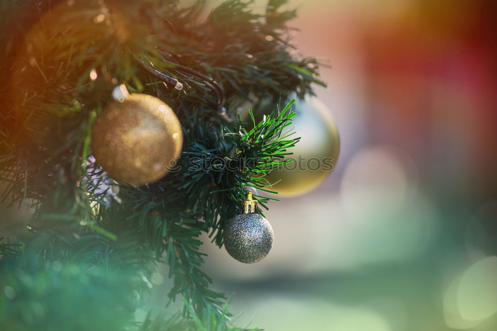 Similar – Foto Bild Weihnachtspackerl II