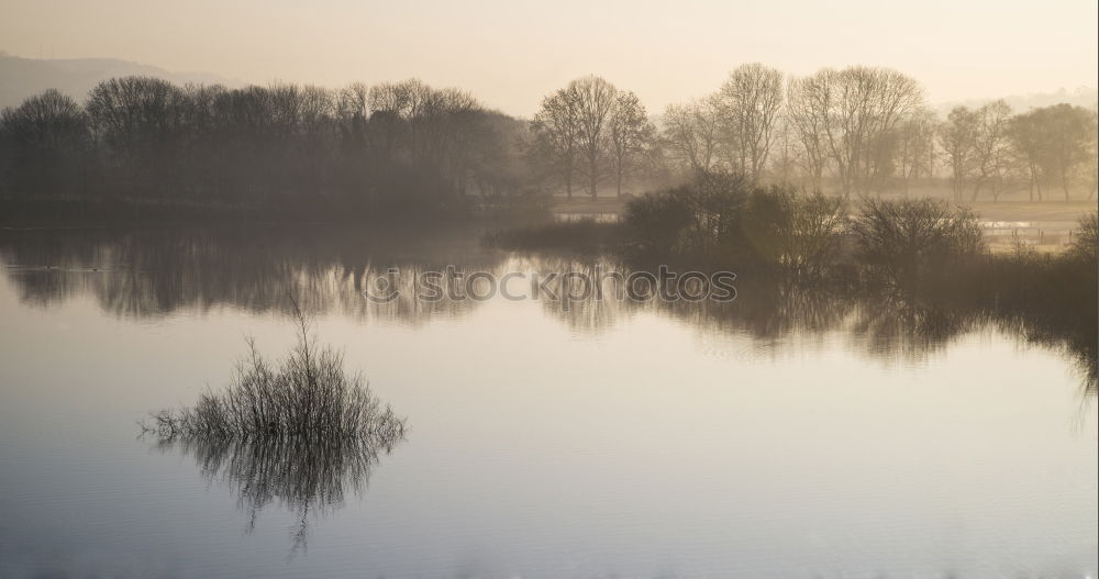 Similar – Image, Stock Photo In the morning Elbe Dawn