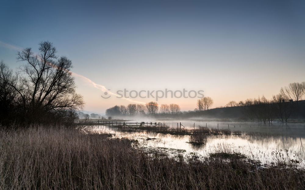 Similar – Image, Stock Photo View to the Fasanenschlösschen