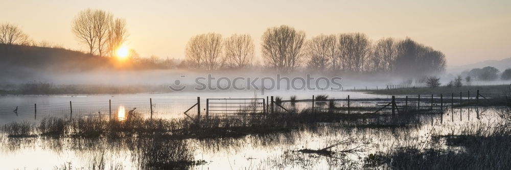 Similar – Image, Stock Photo In the morning Elbe Dawn