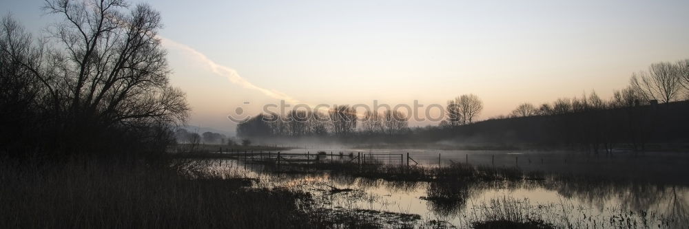 Similar – Image, Stock Photo In the morning Elbe Dawn