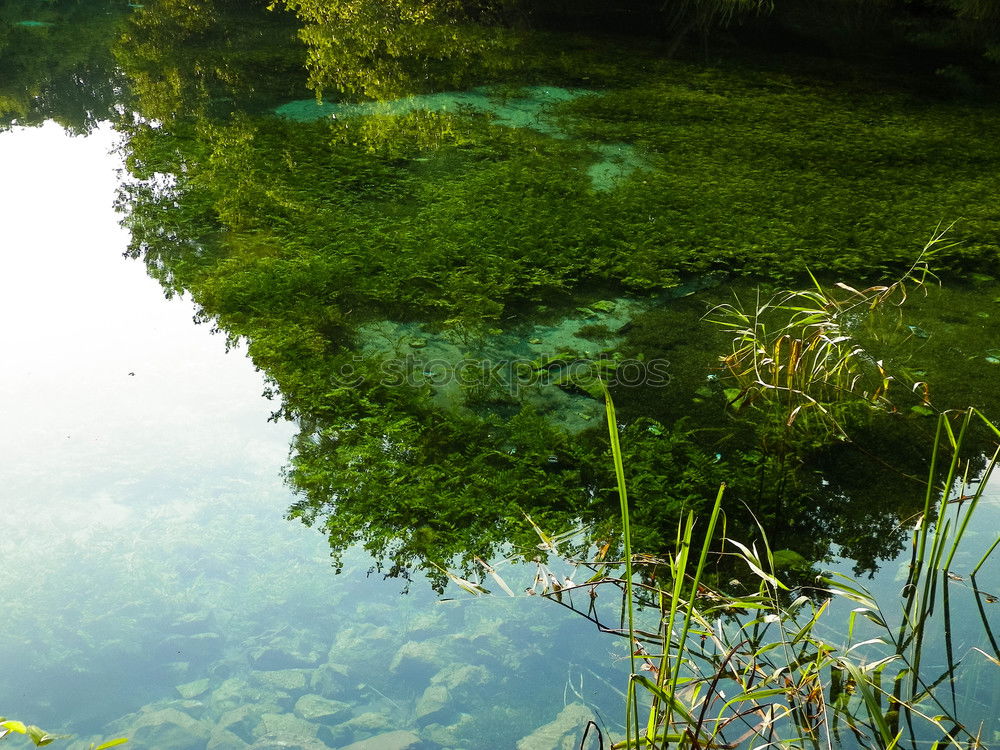 Similar – zwischenwelten Umwelt