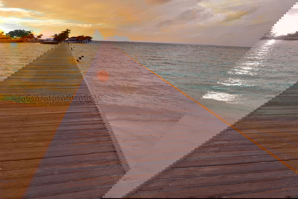 Similar – Image, Stock Photo mauritius and isle Pot
