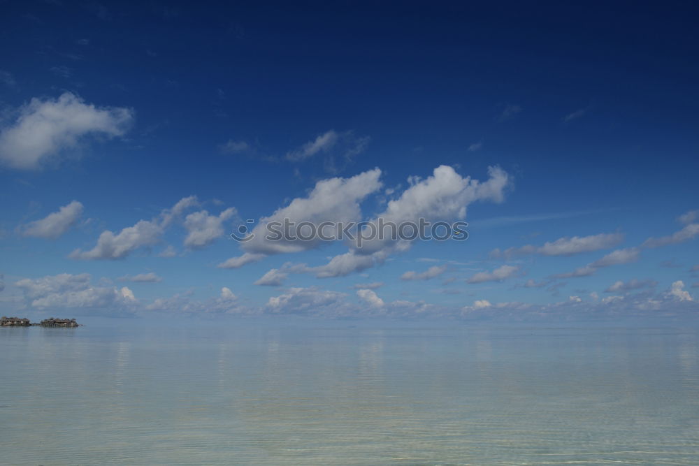 Similar – Image, Stock Photo the sea in zanzibar Beach