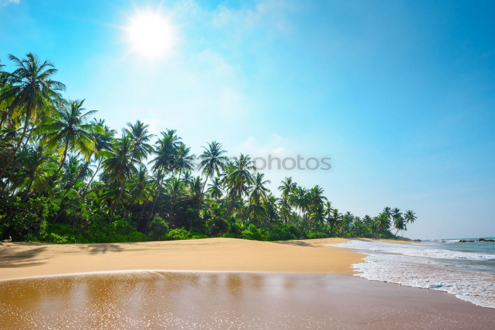 Similar – Image, Stock Photo Sri Lanka, Rathgama