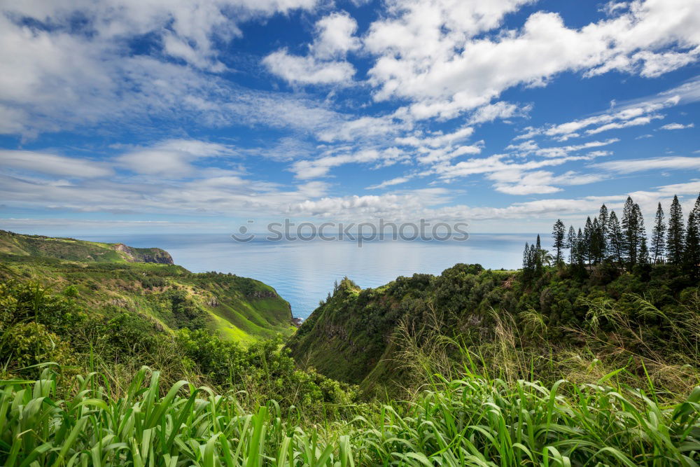 Azores 01 Nature Landscape