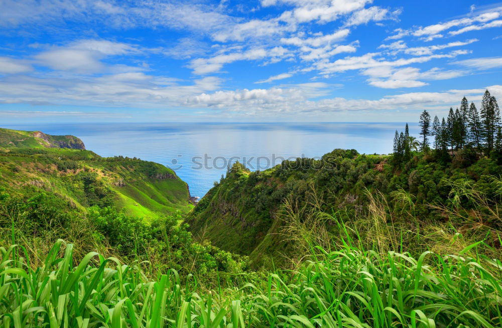 Similar – Azores 01 Nature Landscape