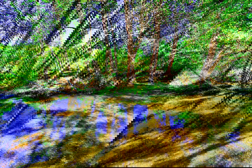 Similar – Image, Stock Photo Oasis on Rügen Environment