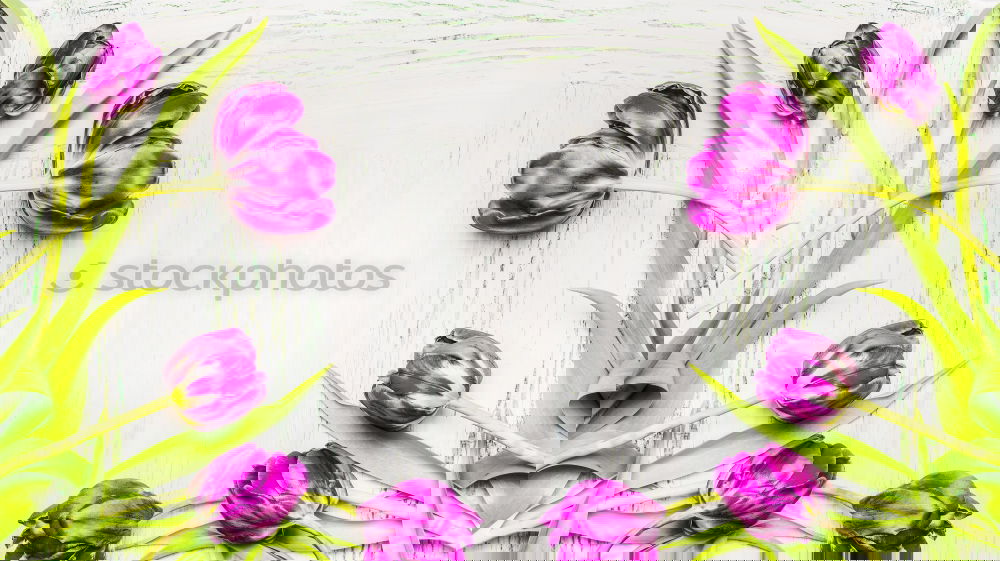 Similar – Image, Stock Photo Purple tulips bouquet of flowers with cardboard labels