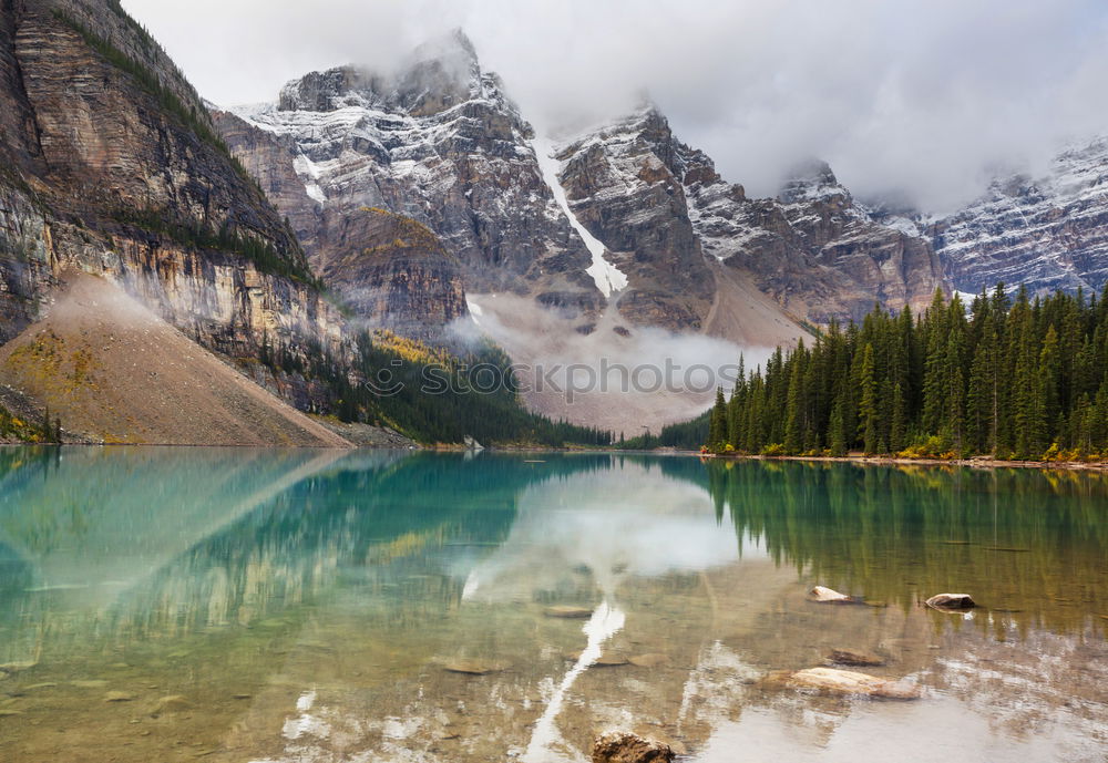 Similar – Image, Stock Photo Crowfoot Mountain sorum