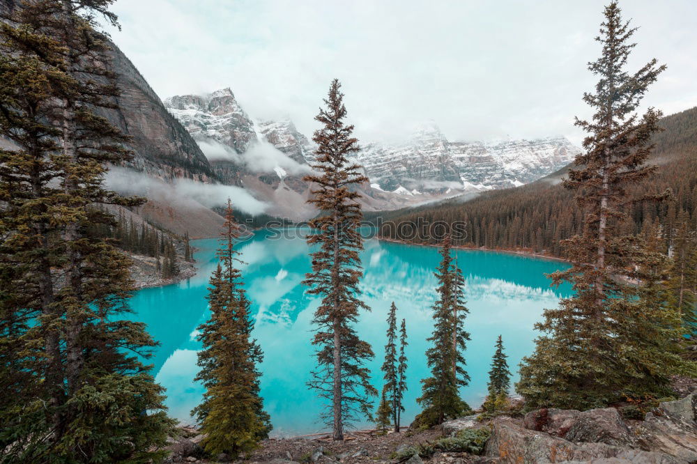 Similar – Der Peyto Lake im September