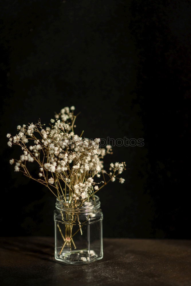 Similar – Image, Stock Photo SummerStill Lifestyle