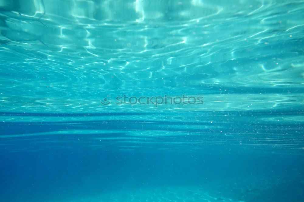 Similar – Image, Stock Photo Blue. Swimming & Bathing