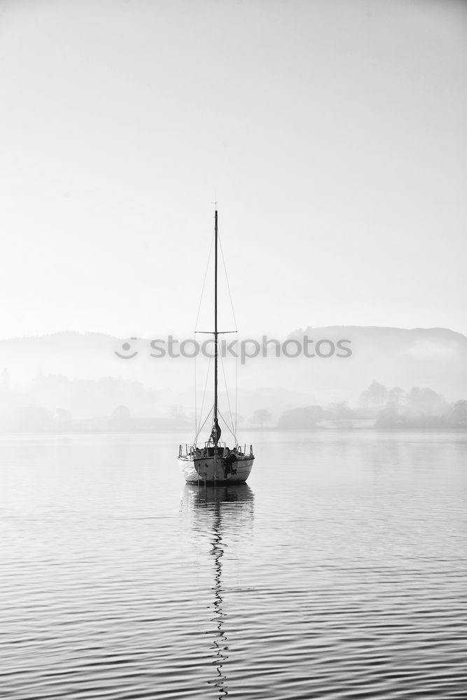 Similar – Image, Stock Photo Windsurfers in Torbole, Lake Garda 01