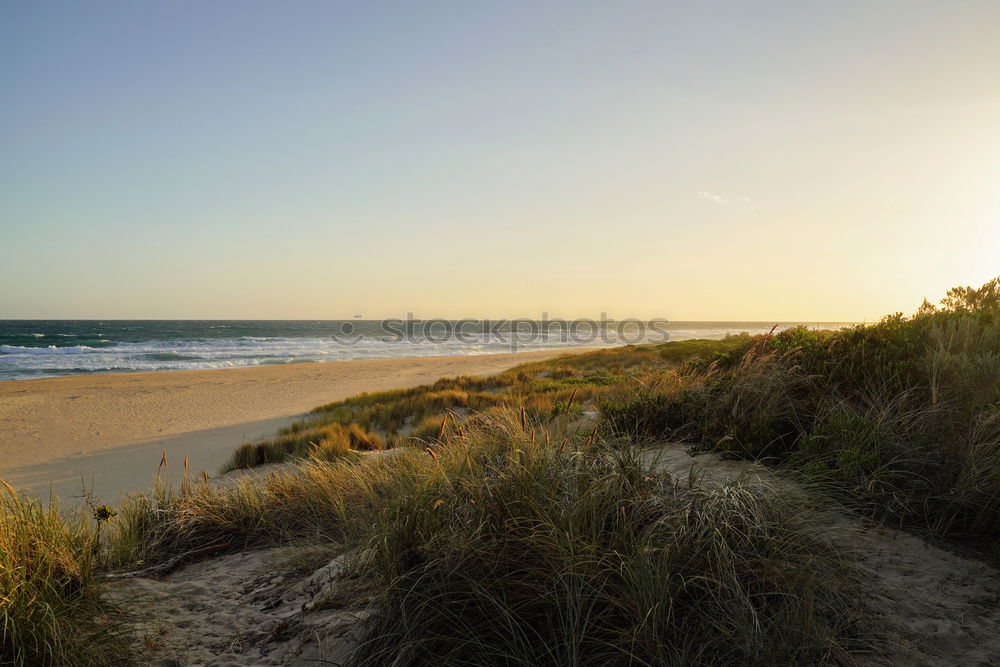 Similar – Image, Stock Photo Heiligendamm Environment